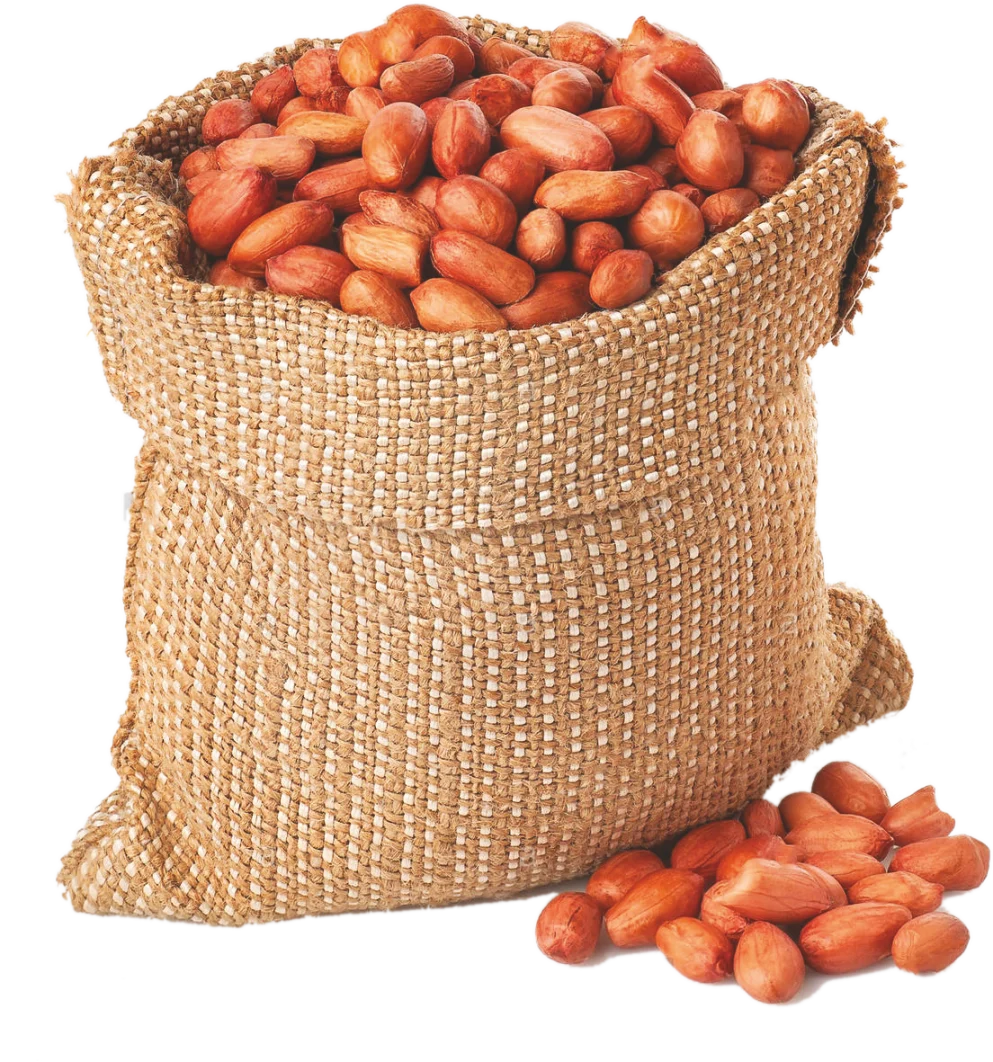 Groundnuts